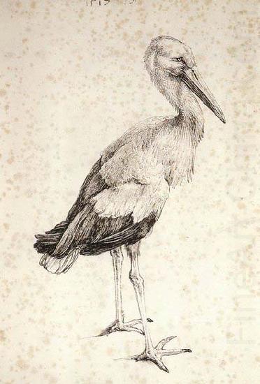 The Stork, Albrecht Durer